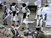 Robots Stage Street Protest Over AI Regulation in Poland Poland robots protesting