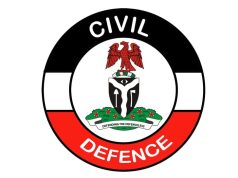 FG Suspends Niger NSCDC Commandant over Deaths of 33 Miners NSCDC logo