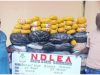 NDLEA Intercepts N3.4bn Drugs, Arrests Fake Police Officer