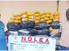 NDLEA Intercepts N3.4bn Drugs, Arrests Fake Police Officer