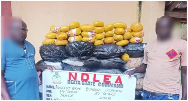 Suspects paraded by NDLEA over illicit drugs