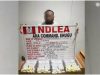 NDLEA Arrests Newlywed With 72 Cocaine Wraps at Enugu Airport