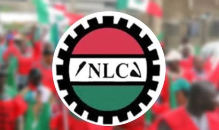 NLC 